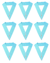 Load image into Gallery viewer, Craft Lodge Officers Collar - Set of 9 Collars